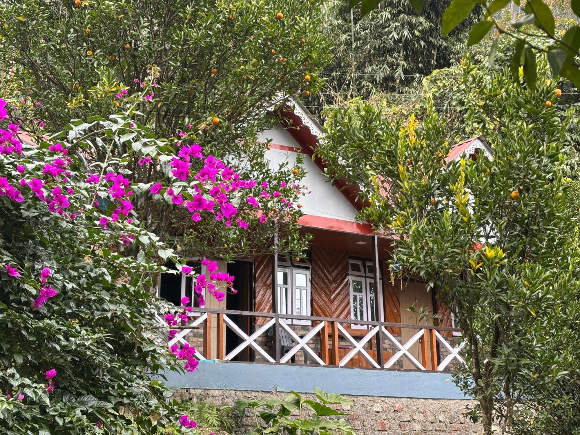 Odyssey Stays Rimbi Pelling Exterior foto