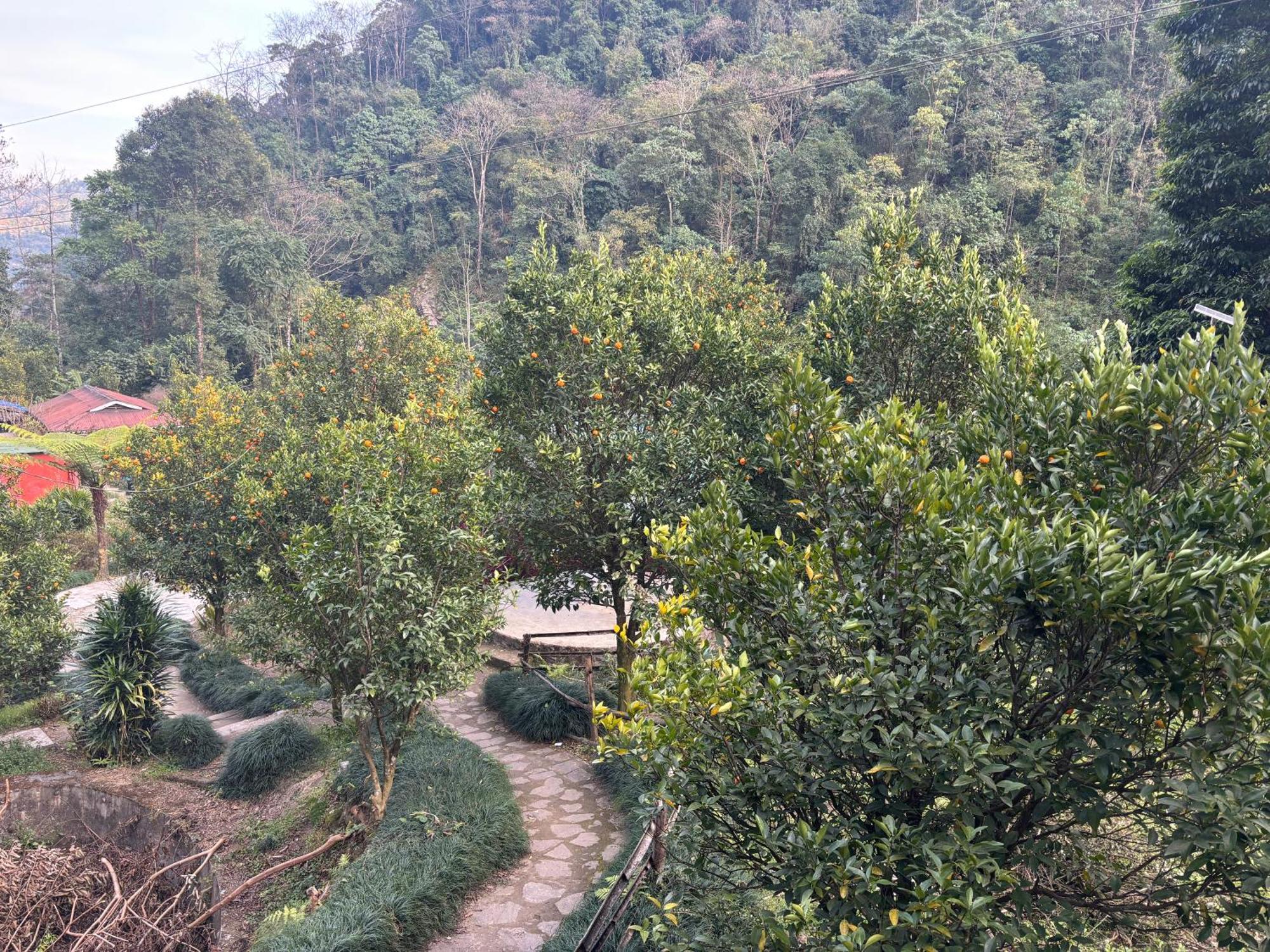Odyssey Stays Rimbi Pelling Exterior foto