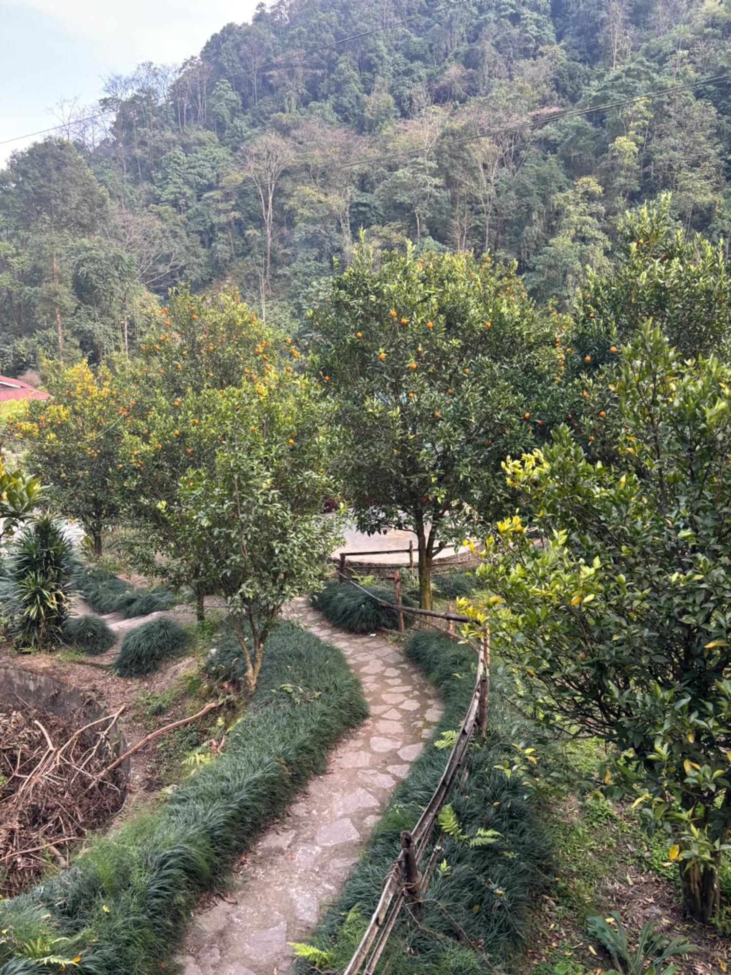 Odyssey Stays Rimbi Pelling Exterior foto